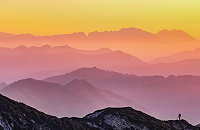 related banner