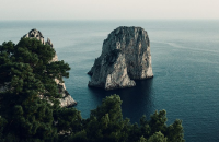 related banner