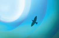 related banner